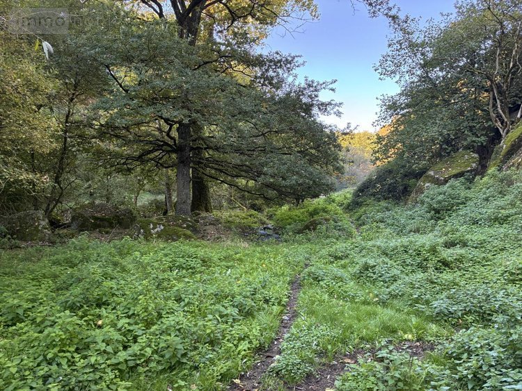 Maison a vendre Salmiech 12120 Aveyron 95 m2 6 pièces 84500 euros