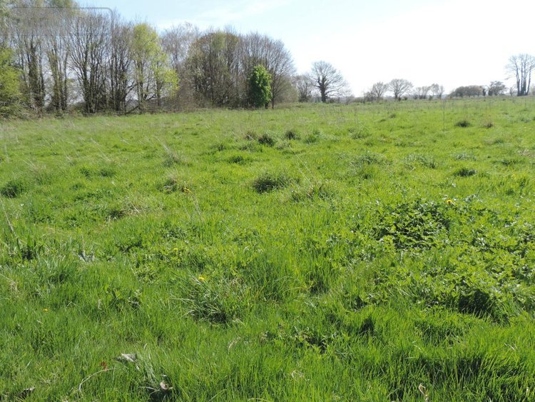 Maison a vendre Plestin-les-Grèves 22310 Côtes-d'Armor 200 m2 8 pièces 431700 euros