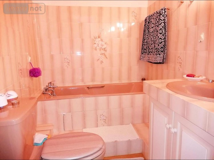 Maison a vendre Descartes 37160 Indre-et-Loire 120 m2 7 pièces 166950 euros