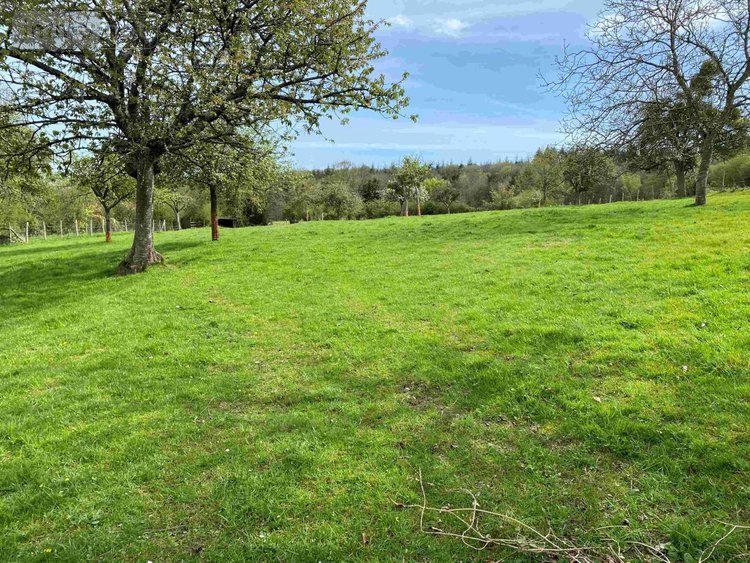 Maison a vendre Ménil-Hubert-sur-Orne 61430 Orne 80 m2 3 pièces 290500 euros