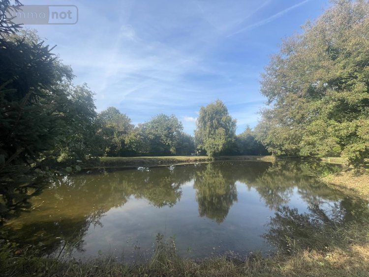 Terrains de loisirs bois etangs a vendre Lombron 72450 Sarthe 5800 m2  19800 euros