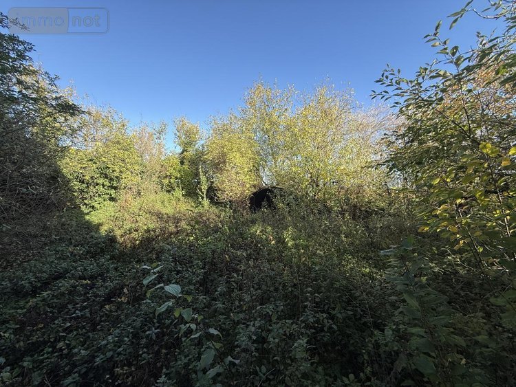 Maison a vendre Trois-Puits 51500 Marne 170 m2 7 pièces 345000 euros