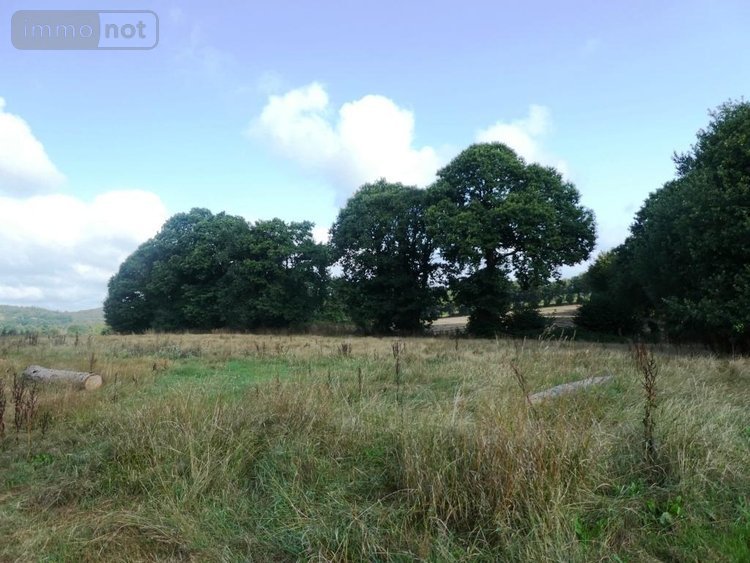 Maison a vendre Ploërdut 56160 Morbihan 200 m2 9 pièces 168450 euros