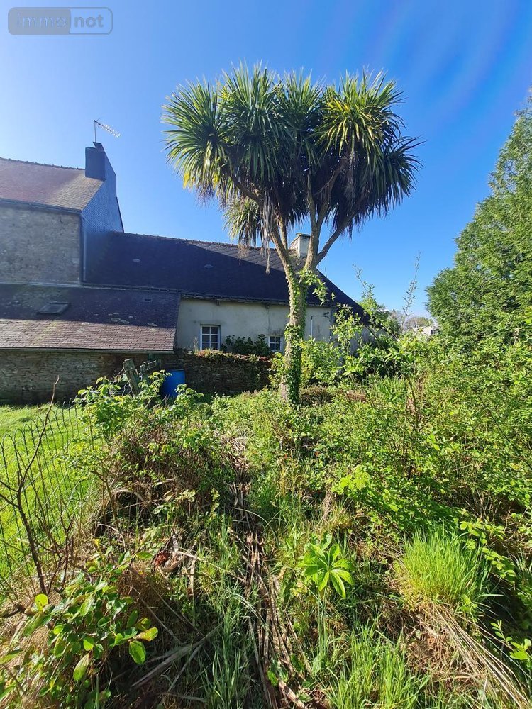 Maison a vendre Radenac 56500 Morbihan 67 m2 3 pièces 63360 euros