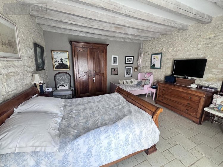 Maison a vendre Châtillon-sur-Cher 41130 Loir-et-Cher 385 m2 14 pièces 420000 euros