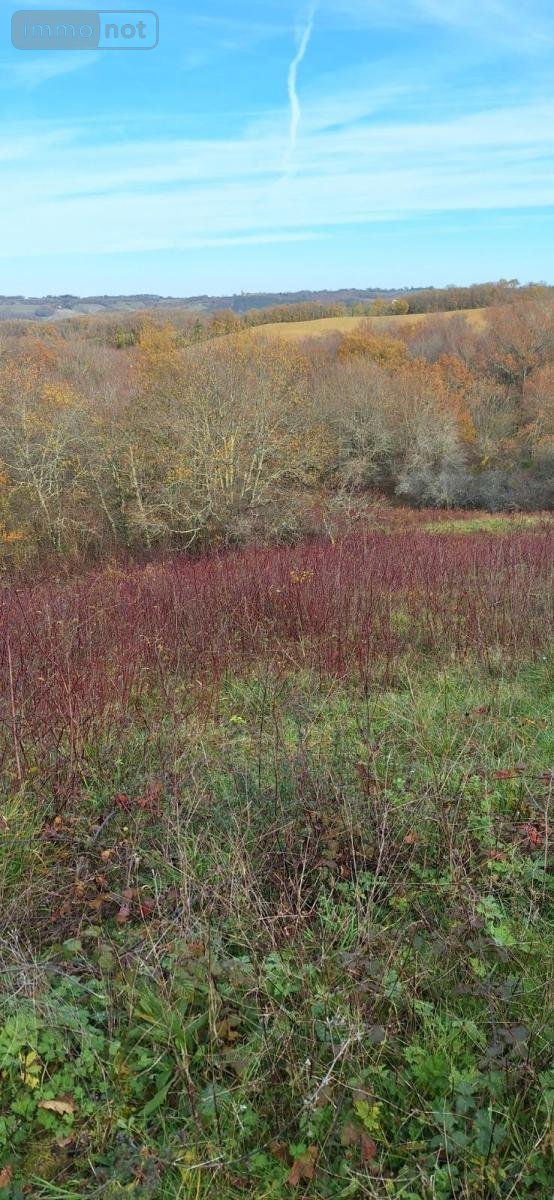 Terrains de loisirs bois etangs a vendre Peyrusse-Grande 32320 Gers 57740 m2  39500 euros