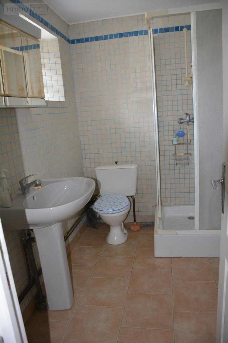 Maison a vendre Saint-Loup-du-Dorat 53290 Mayenne 343 m2 13 pièces 228800 euros