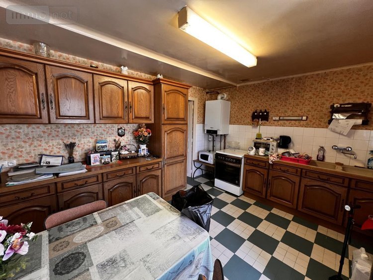 Maison a vendre Thésée 41140 Loir-et-Cher 73 m2 3 pièces 96000 euros