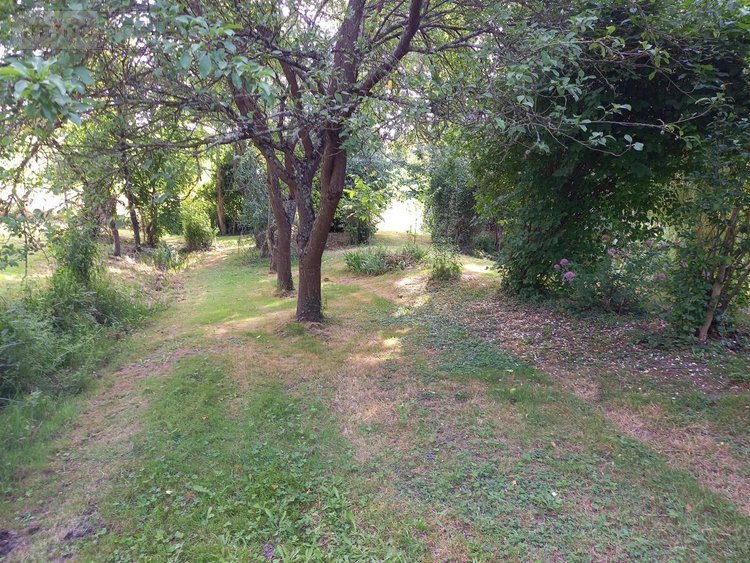 Terrains de loisirs bois etangs a vendre Parçay-sur-Vienne 37220 Indre-et-Loire 7760 m2  23600 euros