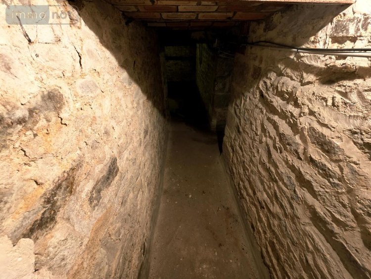 Immeuble a vendre Vannes 56000 Morbihan 247 m2  1138500 euros