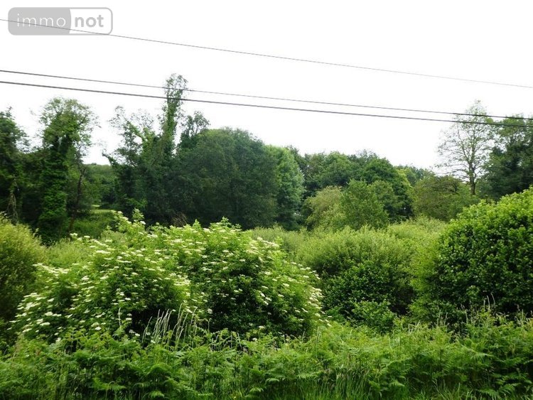 Terrains de loisirs bois etangs a vendre Plouray 56770 Morbihan 28430 m2  15990 euros