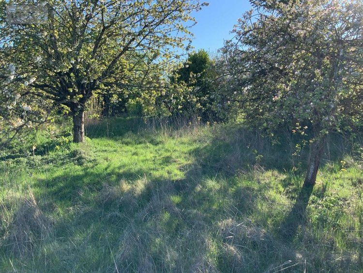 Maison a vendre Jouy-en-Pithiverais 45480 Loiret 122 m2 5 pièces 225000 euros