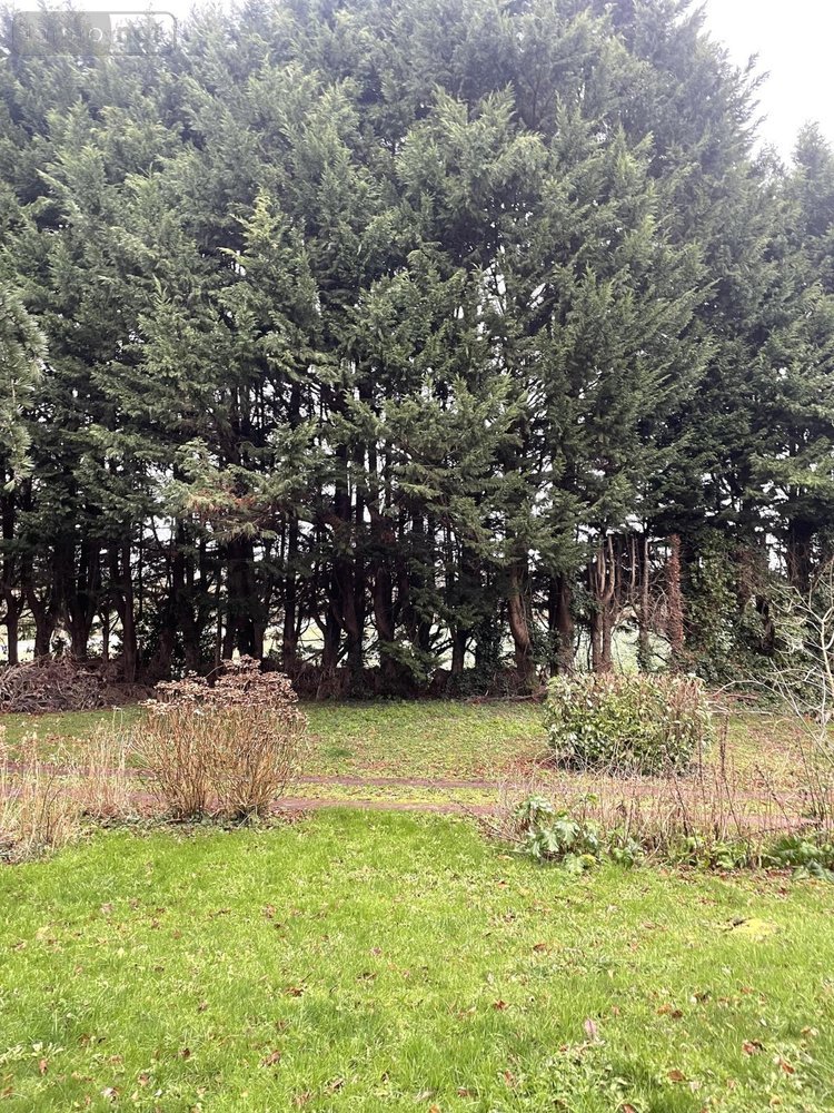 Maison a vendre Miniac-Morvan 35540 Ille-et-Vilaine 143 m2 5 pièces 317200 euros