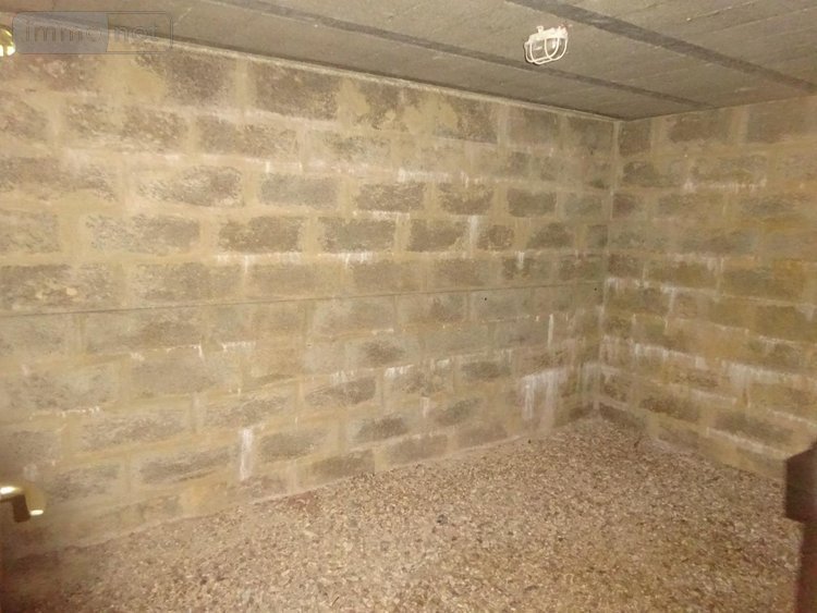 Location maison Arcisses 28400 Eure-et-Loir 100 m2 4 pièces 870 euros