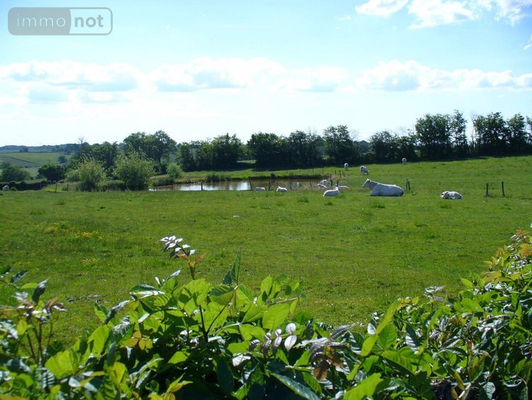 Maison a vendre Neuvy-Grandchamp 71130 Saône-et-Loire  157200 euros