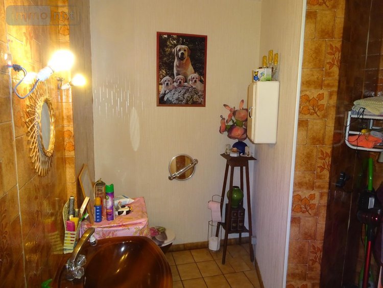 Maison a vendre Arcisses 28400 Eure-et-Loir 209 m2 7 pièces 345000 euros