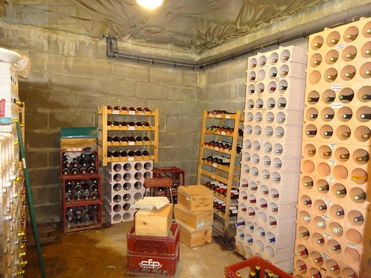 Maison a vendre Arcisses 28400 Eure-et-Loir 209 m2 7 pièces 345000 euros