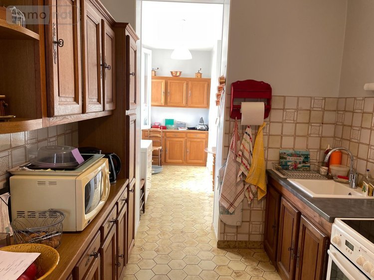 Viager maison Genillé 37460 Indre-et-Loire 82 m2 5 pièces 38000 euros