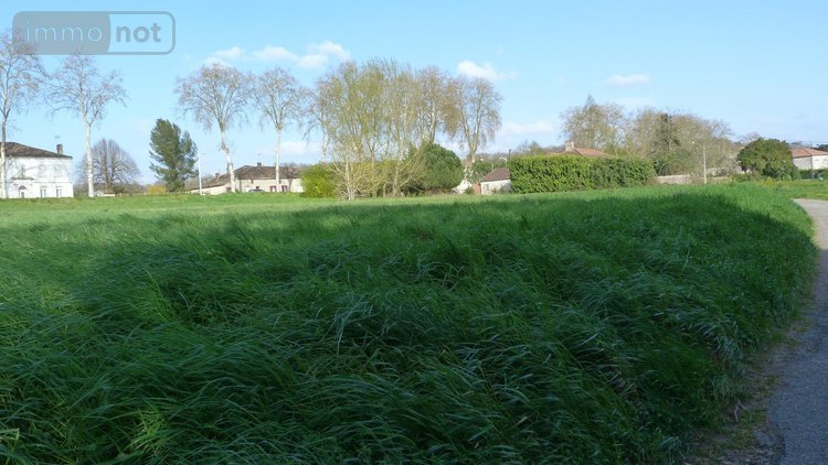 Terrain a batir a vendre Malause 82200 Tarn-et-Garonne 5391 m2  87000 euros