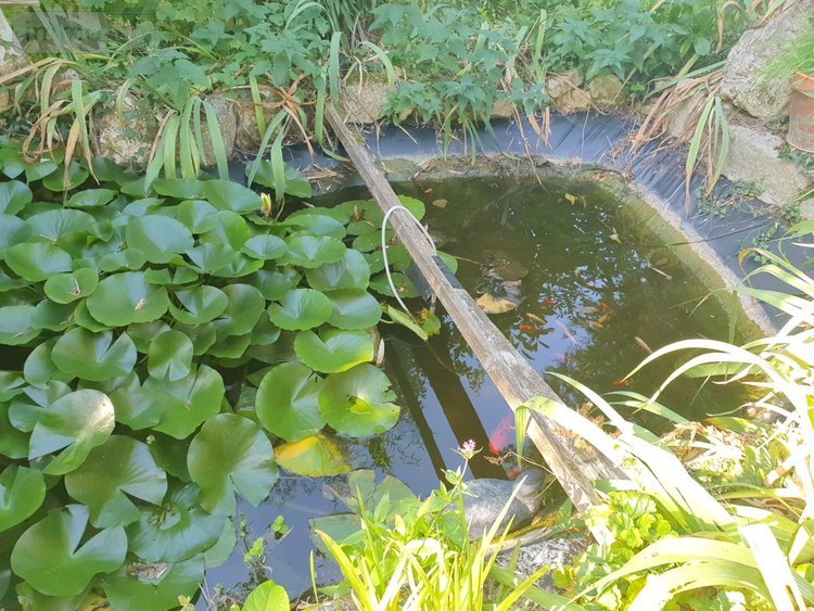 Maison a vendre Cherré-Au 72400 Sarthe 149 m2 5 pièces 163800 euros