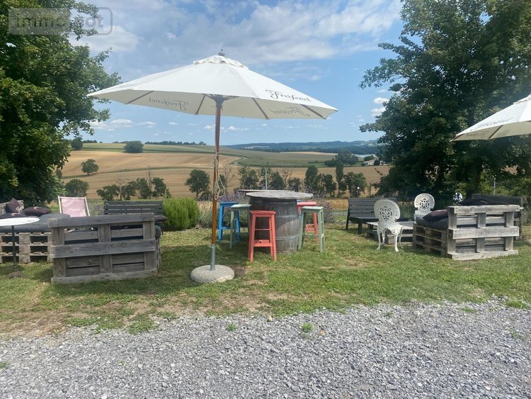 propriete a vendre Casteljaloux 47700 Lot-et-Garonne 211 m2 5 pièces 499600 euros