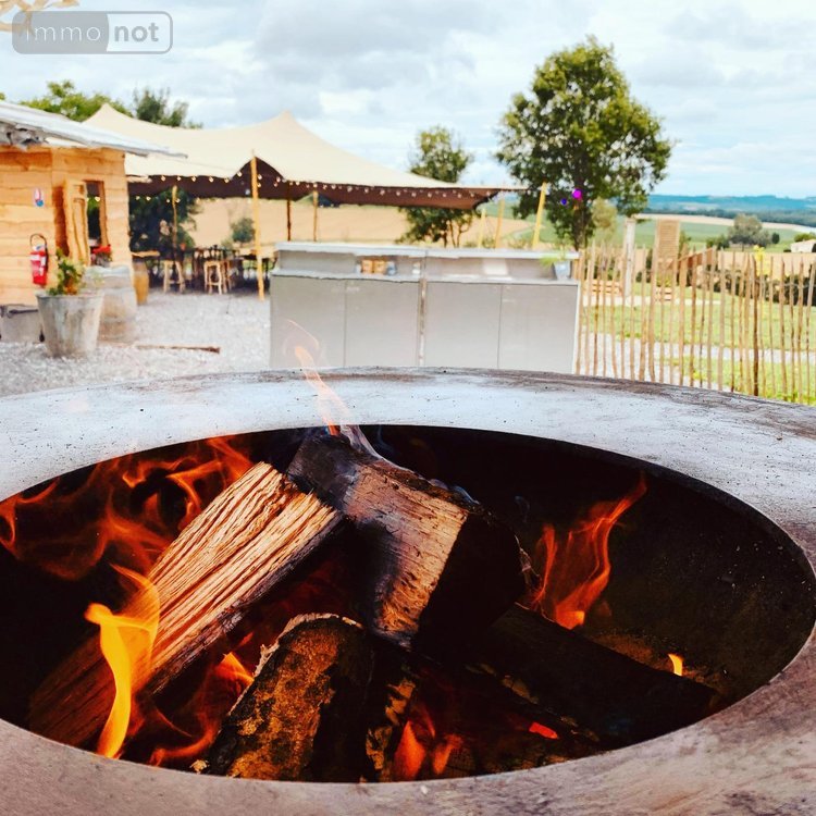 propriete a vendre Casteljaloux 47700 Lot-et-Garonne 211 m2 5 pièces 499600 euros