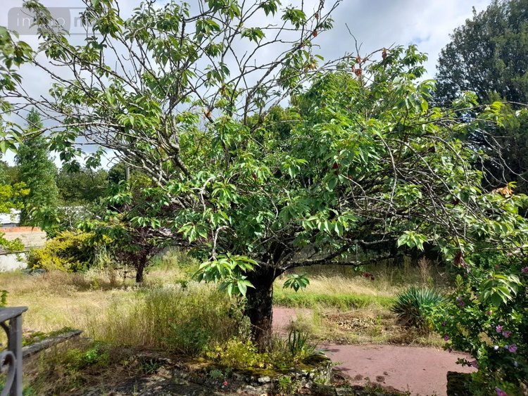 Maison a vendre Digoin 71160 Saône-et-Loire 208 m2 11 pièces 235000 euros