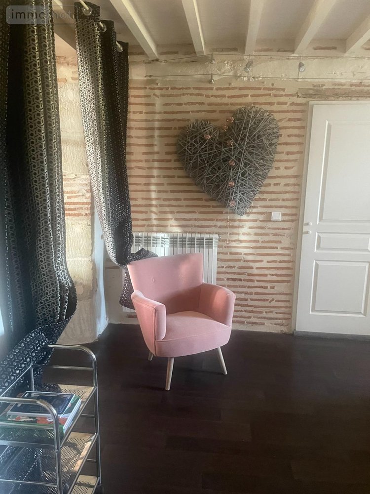 Maison a vendre Tonneins 47400 Lot-et-Garonne 240 m2 7 pièces 376200 euros