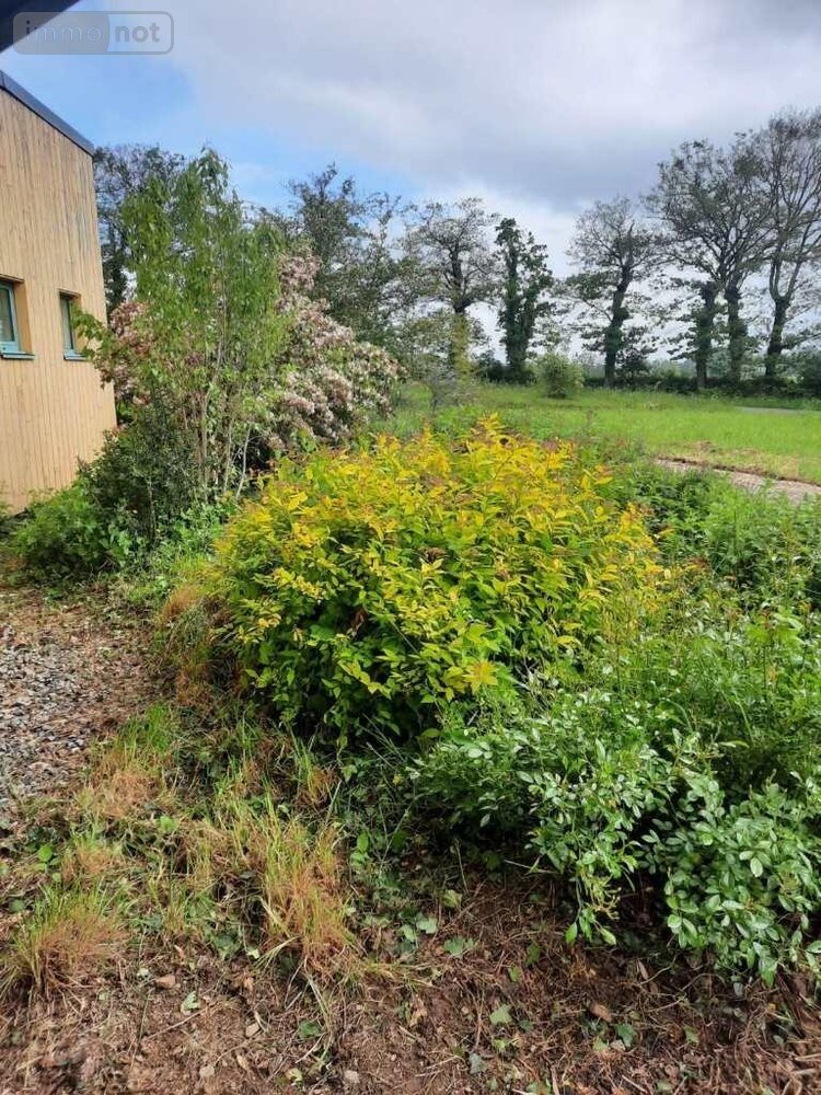 Fonds et murs commerciaux a vendre Campel 35330 Ille-et-Vilaine  208880 euros