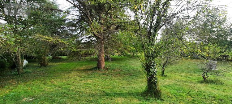 Maison a vendre Clion 36700 Indre 85 m2 3 pièces 64500 euros