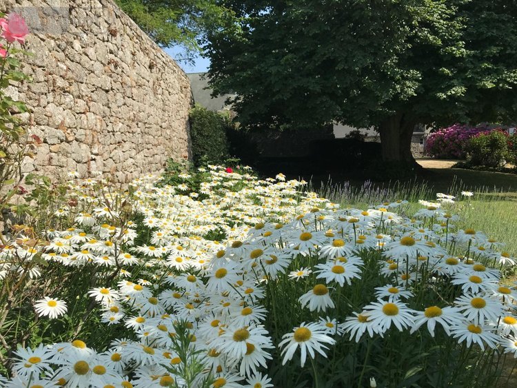 propriete a vendre Barfleur 50760 Manche 228 m2 11 pièces 699990 euros