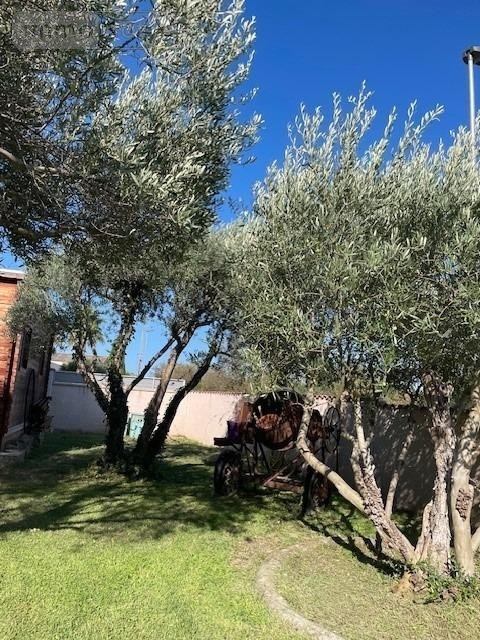 Divers a vendre Montbazin 34560 Hérault 100 m2  540000 euros