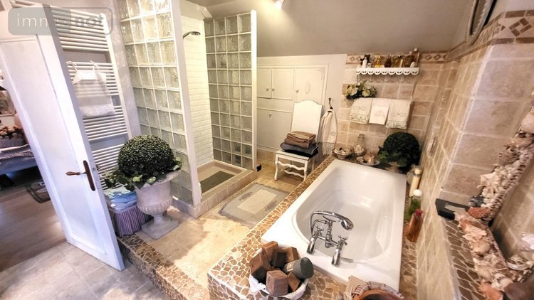 Maison a vendre Allériot 71380 Saône-et-Loire 190 m2 7 pièces 395000 euros