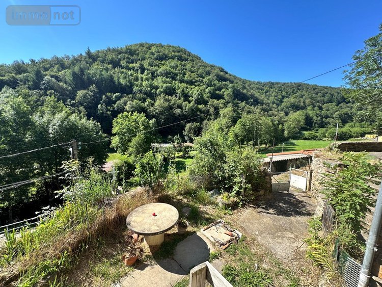 Maison a vendre Saint-Étienne-sur-Blesle 43450 Haute-Loire 65 m2  25000 euros