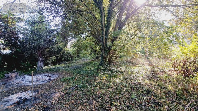 Maison a vendre Vernois-sur-Mance 70500 Haute-Saône 135 m2 4 pièces 74000 euros