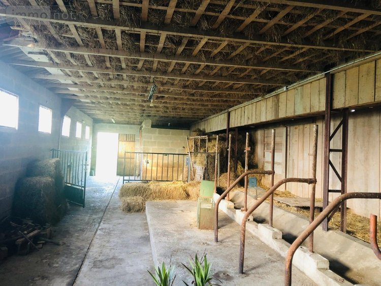 Maison a vendre Barville 61170 Orne 125 m2 6 pièces 263750 euros