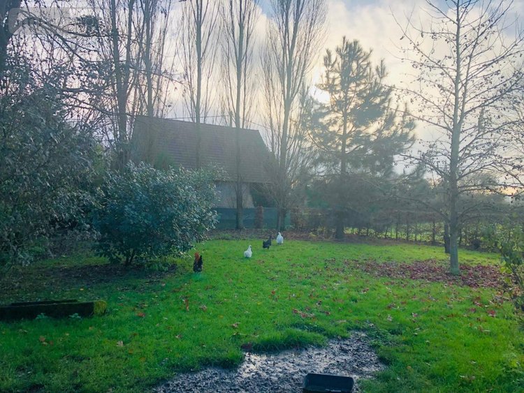 Maison a vendre Barville 61170 Orne 125 m2 6 pièces 263750 euros