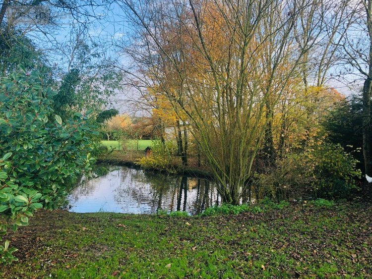 Maison a vendre Barville 61170 Orne 125 m2 6 pièces 263750 euros