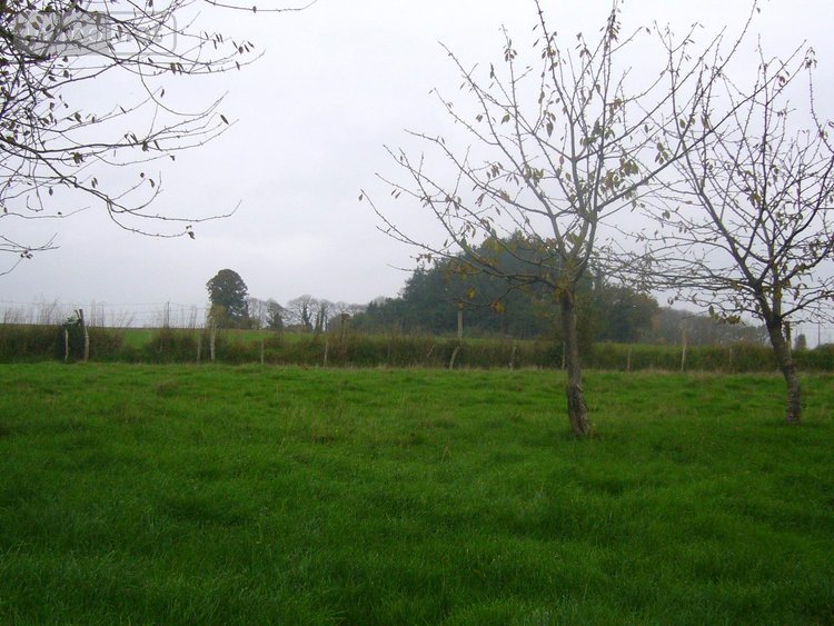 Maison a vendre Saint-Hélen 22100 Côtes-d'Armor 67 m2 3 pièces 197600 euros