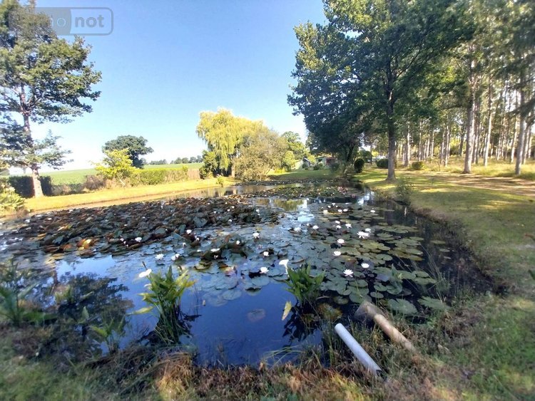 Terrains de loisirs bois etangs a vendre La Baconnière 53240 Mayenne 20002 m2  83360 euros