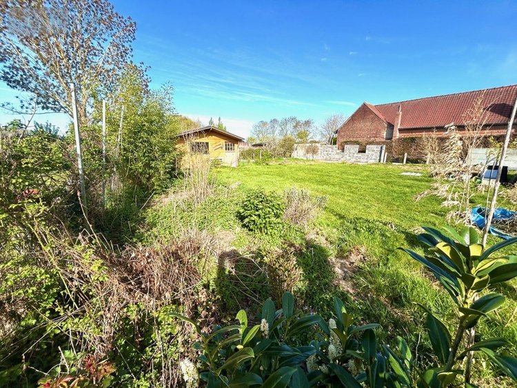 Terrain a batir a vendre Vieux-Berquin 59232 Nord 600 m2  57900 euros