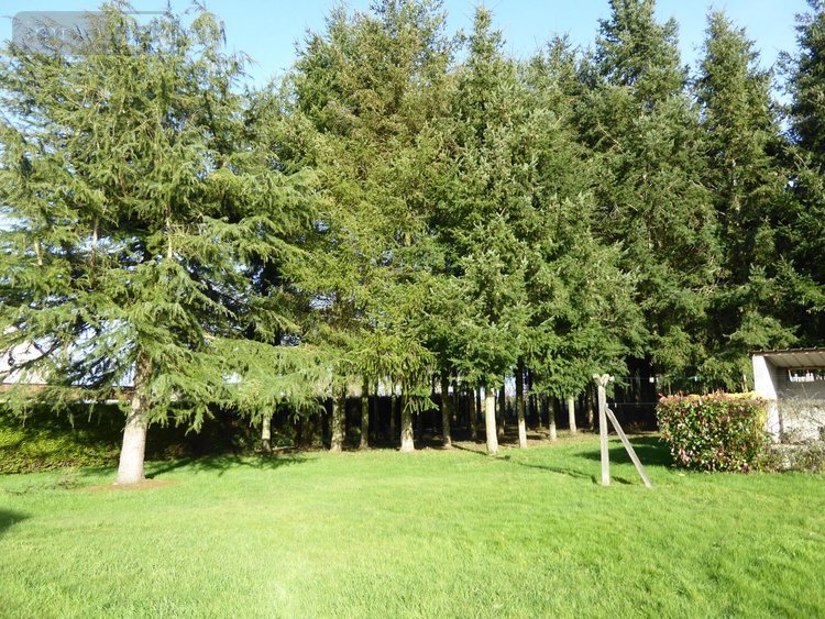 Maison a vendre La Chapelle-aux-Filtzméens 35190 Ille-et-Vilaine 135 m2 5 pièces 418000 euros