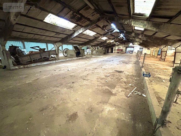 Maison a vendre Thiennes 59189 Nord 230 m2  238000 euros