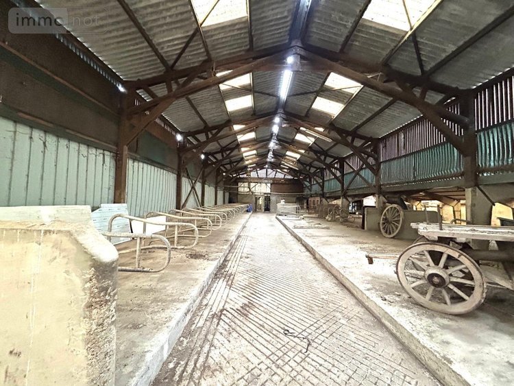 Maison a vendre Thiennes 59189 Nord 230 m2  238000 euros