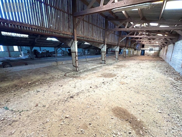 Maison a vendre Thiennes 59189 Nord 230 m2  238000 euros