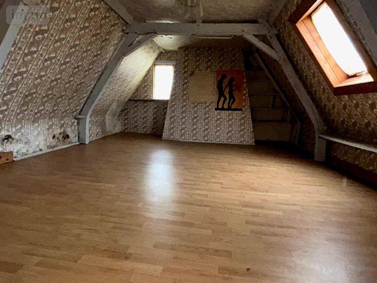 Maison a vendre Thiennes 59189 Nord 230 m2  238000 euros