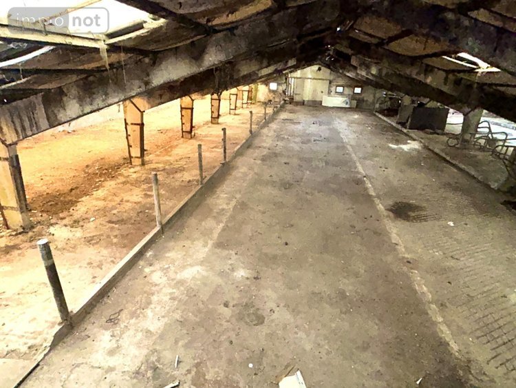 Maison a vendre Thiennes 59189 Nord 230 m2  238000 euros