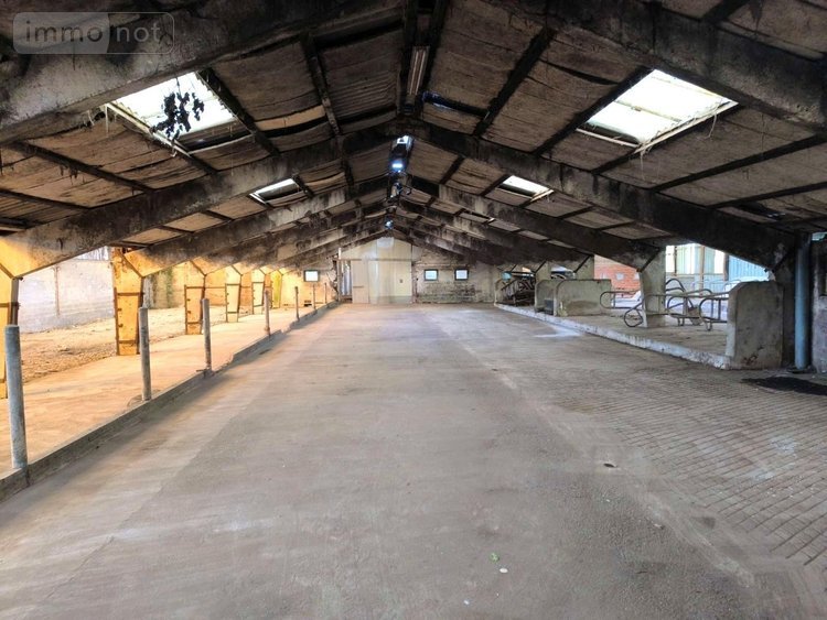 Maison a vendre Thiennes 59189 Nord 230 m2  238000 euros