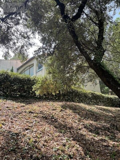 propriete a vendre Saint-Clément-de-Rivière 34980 Hérault 283 m2 8 pièces 900000 euros