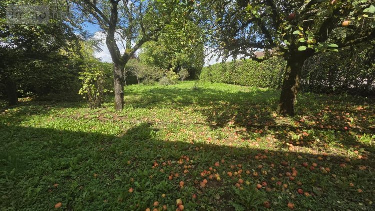 Maison a vendre Fayl-Billot 52500 Haute-Marne 140 m2 5 pièces 115000 euros